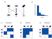 Ecological interaction networks. What we know, what we don’t, and why it matters