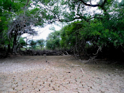 Estado de neutralidad en la degradación de la tierra en el Chaco Salteño entre 2001 y 2018