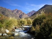 Evaluación biofísica de servicios ecosistémicos en la cuenca del Arroyo Grande, Tunuyán, Mendoza