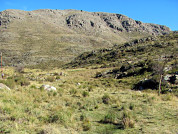 La pérdida de suelo como resultado de las interacciones entre los atributos del paisaje natural y las actividades humanas en Ventania, Argentina