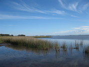 Comunidades de moluscos difieren entre microambientes en un lago somero de la región pampeana, Argentina