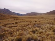 Evaluación de pastizales patagónicos con imágenes de satélites y de vehículos aéreos no tripulados