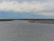 Efecto de los efluentes cloacales sobre el ensamble macrobentónico submareal en un estuario urbano de la Argentina