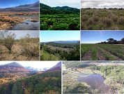 Presiones sobre la conservación asociadas al uso de la tierra en las ecorregiones terrestres de la Argentina