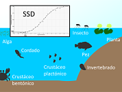 Metodología para derivar niveles guía para la protección de la biodiversidad acuática