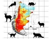 Modelos de distribución potencial de mamíferos nativos en la Patagonia
