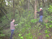Red Argentina de Parcelas Permanentes de Bosques Nativos para promover colaboraciones científicas en estudios de largo plazo