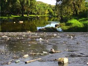 Cambios en la composición de la comunidad bacteriana de diferentes hábitats a lo largo de un río contaminado ( Río Suquía, Córdoba, Argentina)