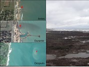 Submarine outfall of Mar del Plata (Argentina): How did the construction impact on the intertidal benthic community?