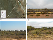 Of arthropods and plants: Arthropod fauna diversity in a vegetation gradient in Los Llanos of La Rioja province (Argentina)