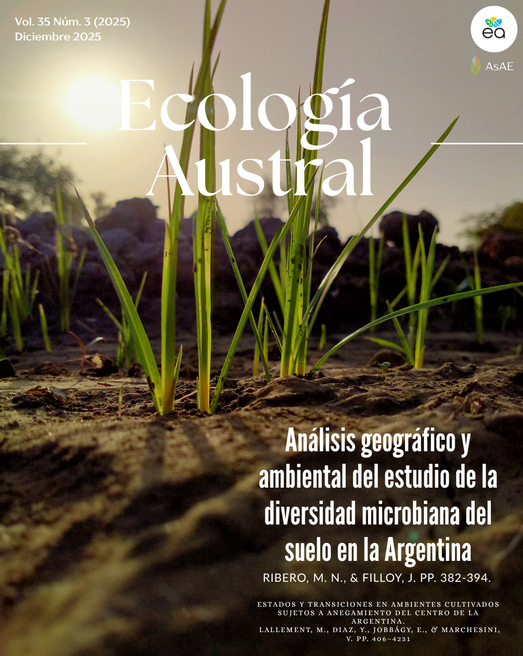 					Ver Vol. 35 Núm. 3 (2025): December 2025. Pages 317-439
				