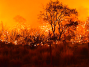 Where, when and how is the occurrence of large fires in La Pampa province, Argentina: A remote sensing characterization