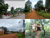 Multiscale environmental determinants of rats’ infestation on households in a subtropical urban to rural gradient in Latin America