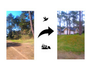 Bird communities in residential areas and implanted forests in coastal dunes of Cariló city, Argentina