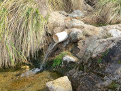 Vegetation-rock mosaics maximize water services in high-mountain areas in central Argentina