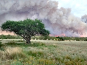 Incidencia de fuegos en la Argentina durante las últimas dos décadas y su asociación con coberturas y usos del suelo en distintos contextos ambientales