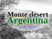 Cincuenta años de investigación en las tierras secas sudamericanas: Mapeando los aportes científicos del Instituto Argentino de Investigaciones de las Zonas Áridas