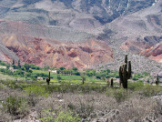 Diversity of epigeal arthropods in an altitudinal and temporal gradient in arid zones of Jujuy (República Argentina)