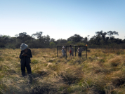 Livestock grazing in natural grasslands in the Dry Chaco: Does herbaceous vegetation change between two grasslands with different grazing pressures?