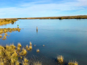 Recreational fishing in the lower basin of the Santa Cruz river(Patagonia, Argentina) in the face of damming scenarios