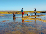 They Ask for Bread and Are Given a Bone: Wildlife Researchers and Research Permits in Argentina