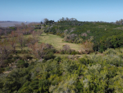 Algoritmos de clasificación automática para el ordenamiento territorial de los bosques nativos de la provincia de Buenos Aires