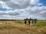 Importance and challenges of conserving urban grasslands in the Metropolitan Region of Buenos Aires