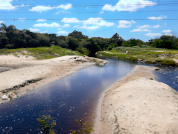 La complejidad de las macrófitas acuáticas y las variables ambientales como filtro de los rasgos funcionales de los invertebrados acuáticos en un arroyo subtropical del sur de Brasil