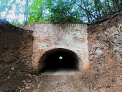 Los sesgos del contra-consenso eco-alarmista