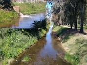 The self-purification capacity of an urban stream and the loss of ecosystem services