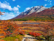 Caracterización limnológica y del zooplancton de lagos andinos en un gradiente altitudinal en Tierra del Fuego, Argentina