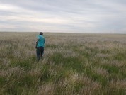 Effect of storage conditions on the germination of native winter forage grasses