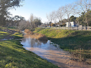 Effects of extreme rainfall on urban streams: A systematic literature review based on the Nature-based Solutions concept