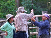 Género y productividad de las publicaciones en ecología en Bolivia: Un análisis de cuatro décadas