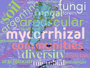 Geographical and environmental analysis of soil microbial diversity studies in Argentina