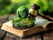 Aplicación del concepto de servicios de los ecosistemas en la política ambiental: Un análisis de las leyes ambientales en provincia de Buenos Aires (Argentina)