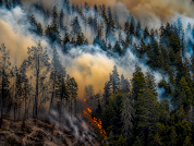 Los recientes incendios en la Comarca Andina del Paralelo 42: Pasado, presente y futuro en un territorio dinámico y complejo