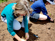 Género y ecología: La representación de las mujeres en los congresos brasileños de ecología