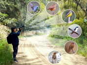 Registros de aves en entornos urbanos y áreas naturales protegidas: Diferencias en la diversidad en los Andes Centrales del Perú