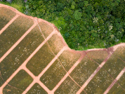 Funding forest and biodiversity conservation: Payments for ecosystem services and other innovative mechanisms to mobilize private capital in Argentina