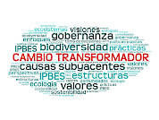 Cambio transformador hacia un mundo justo y sostenible