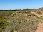 Soil respiration in cultivated and natural soils from the Sandy Pampa, Argentina