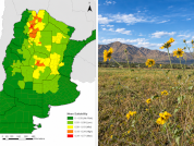 From Mexico to Argentina: Predicting the distribution of the invasive weed Tithonia tubaeformis beyond its native range using niche modelling