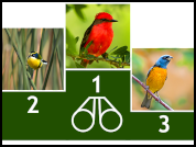 Preferencias de observadores de aves por especies de la ecorregión pampeana
